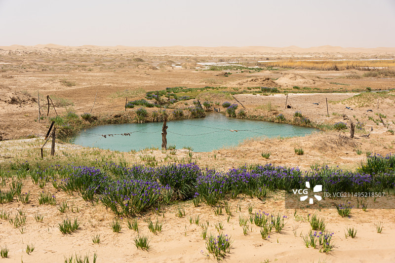 驼盐古道骆驼泉图片素材