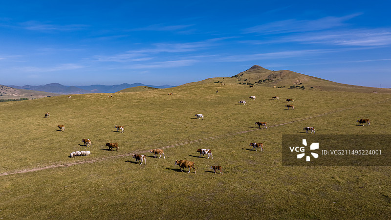 内蒙古赤峰市扎鲁特旗山地草原之五图片素材