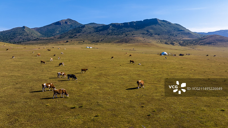 内蒙古赤峰市扎鲁特旗山地草原之二图片素材