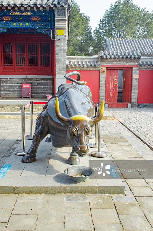 中国山东省泰安市泰山区泰山旅游景区著名景点，老君堂寺庙里，巨大的铜制金牛雕塑，户外白昼无人图像摄影图片素材