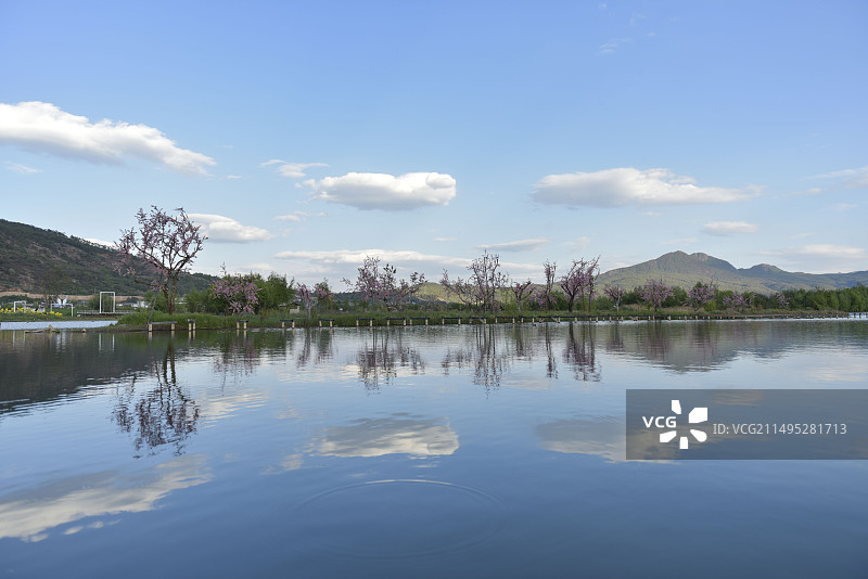 丽江拉市海图片素材