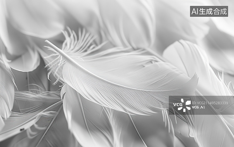 【AI数字艺术】白色背景下羽毛的特写镜头图片素材