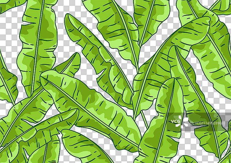 香蕉棕榈叶图案装饰图图片素材