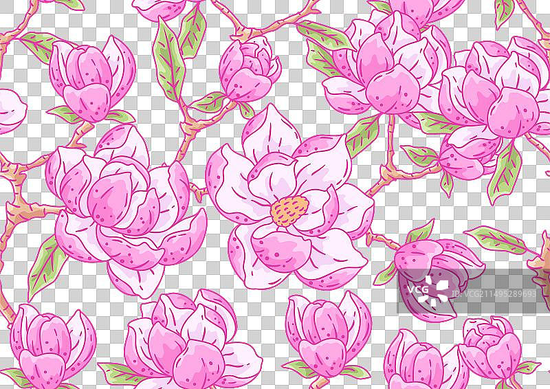 精美玉兰花图案图片素材