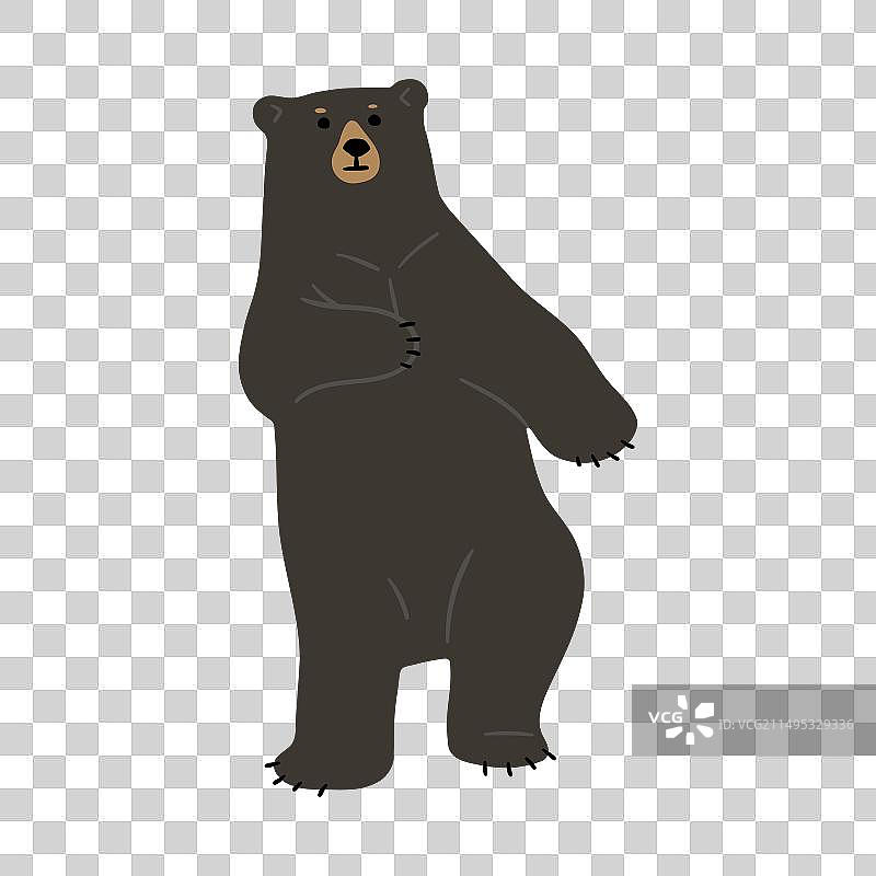 单个美国黑熊10图片素材