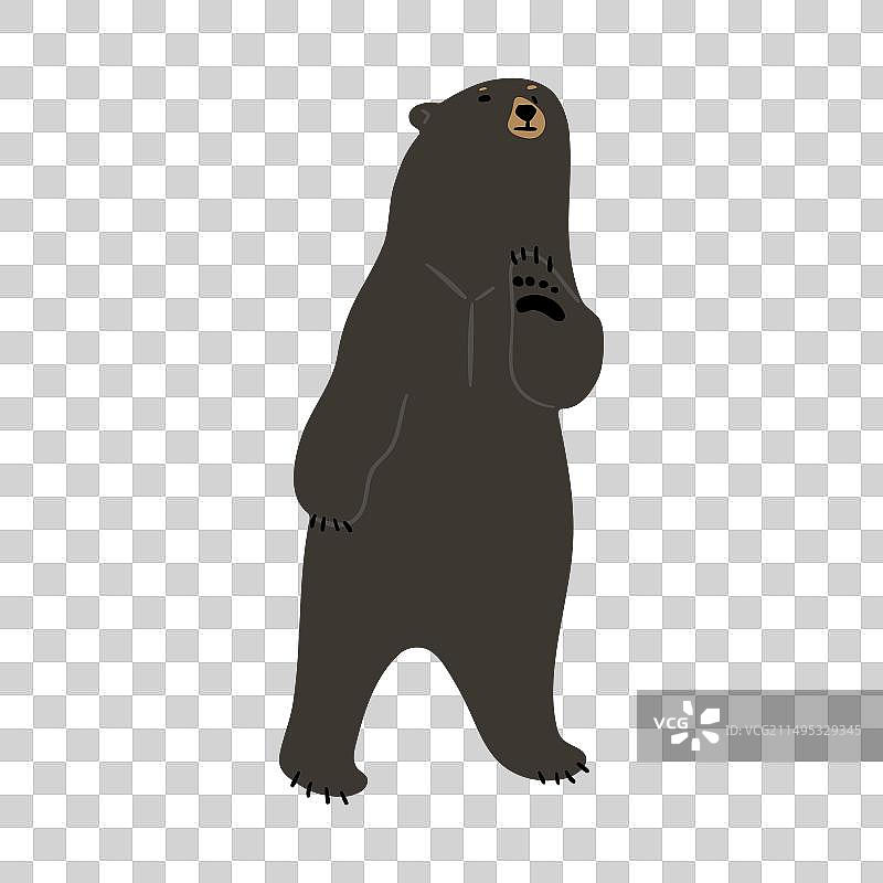 美国黑熊 13图片素材