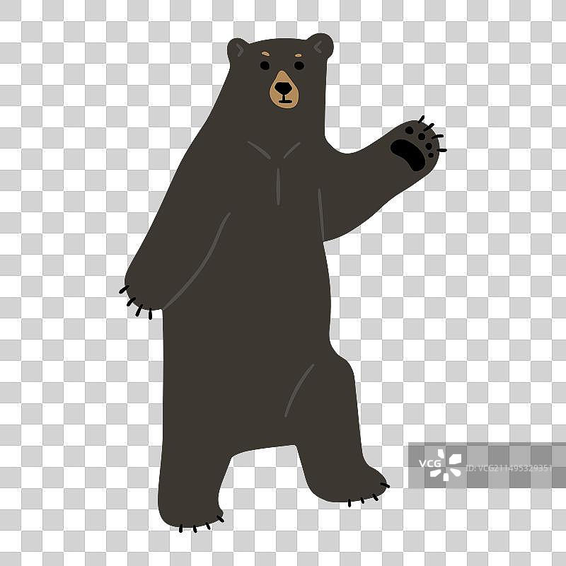 美洲黑熊单张18图片素材