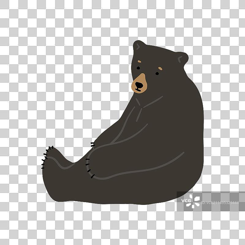 一只美洲黑熊图片素材