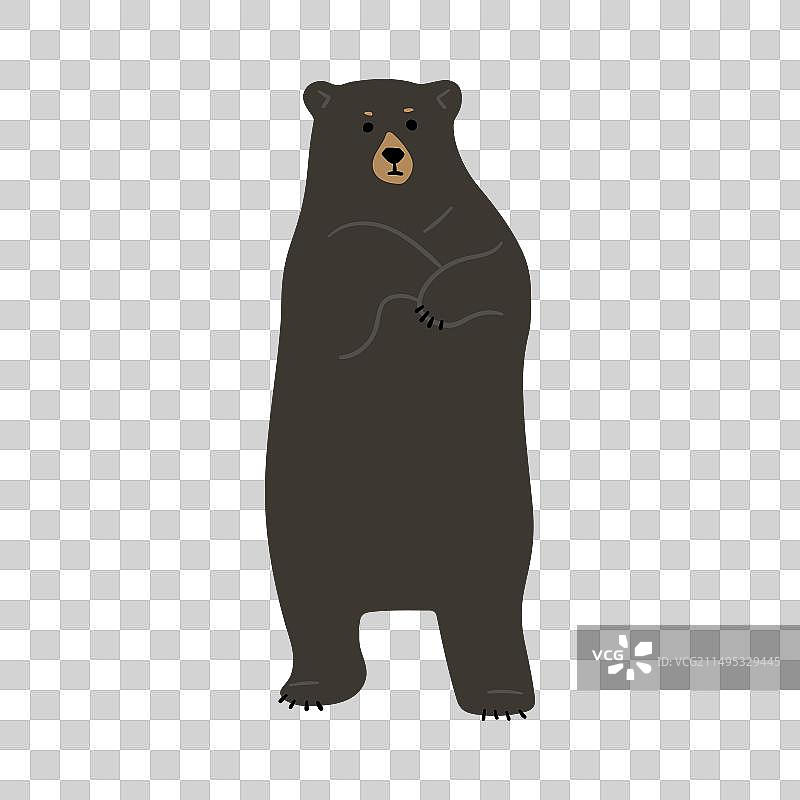 美国黑熊单身25人图片素材