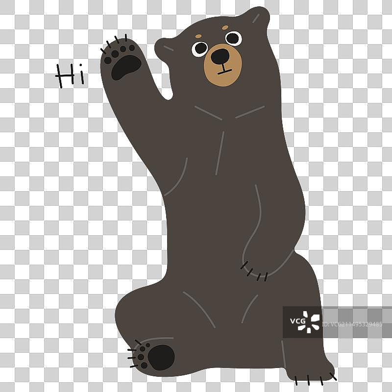 美洲黑熊图片素材