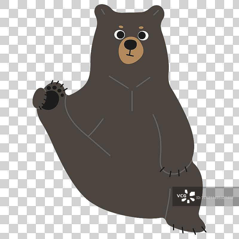 美洲黑熊单张照片38图片素材