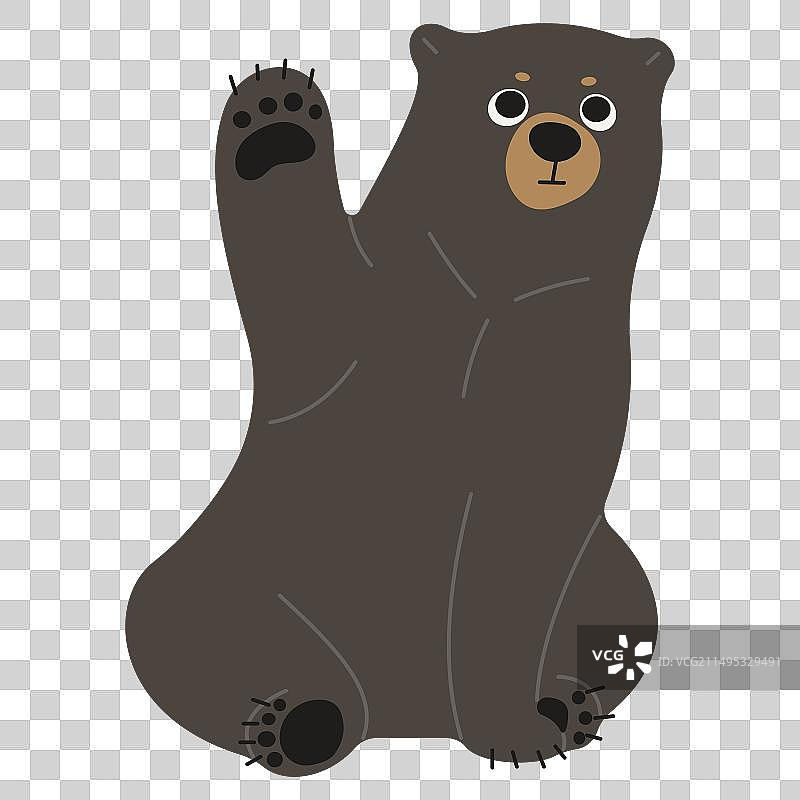 美洲黑熊图片素材