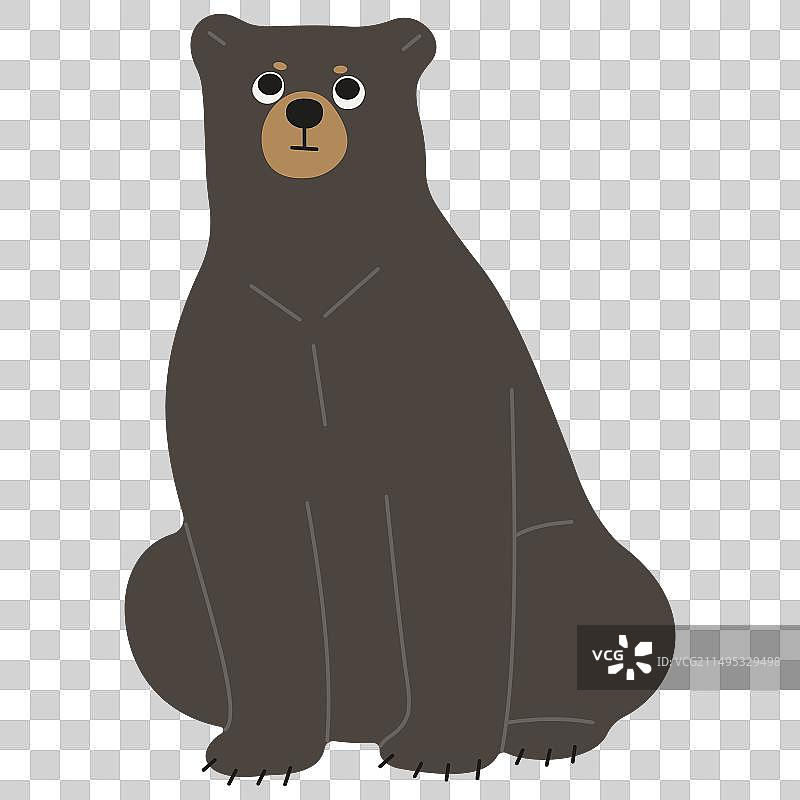 美洲黑熊40图片素材