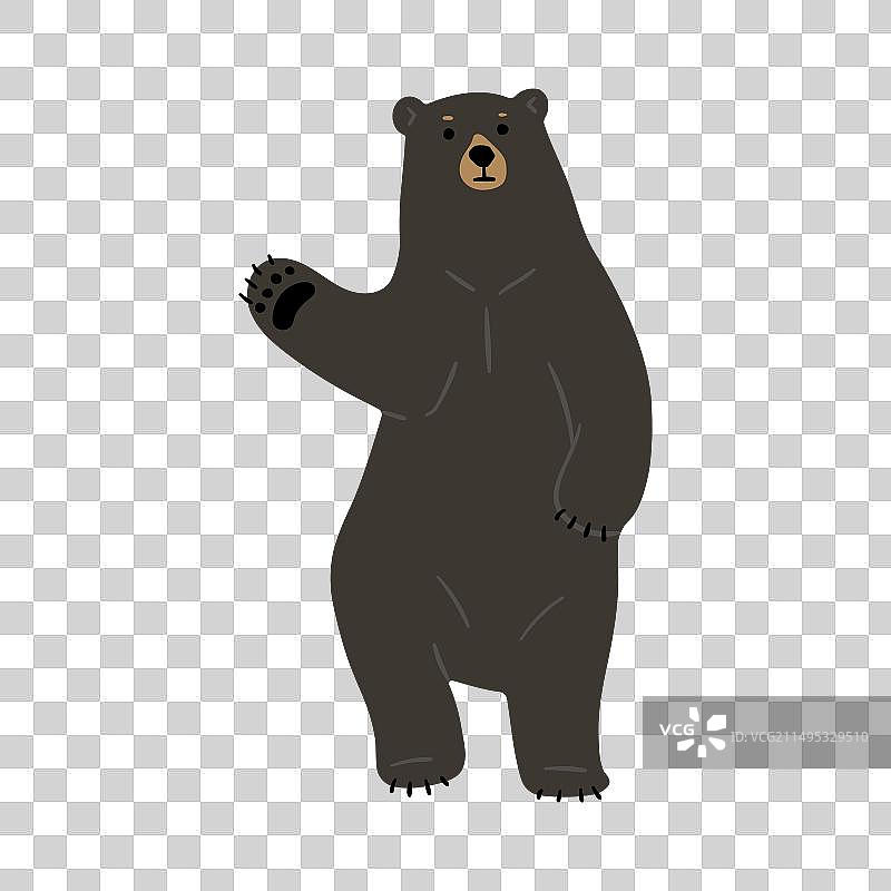 美洲黑熊6号图片素材