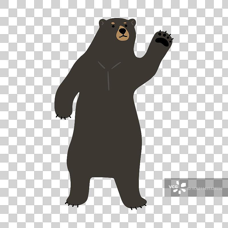 单只美洲黑熊8图片素材