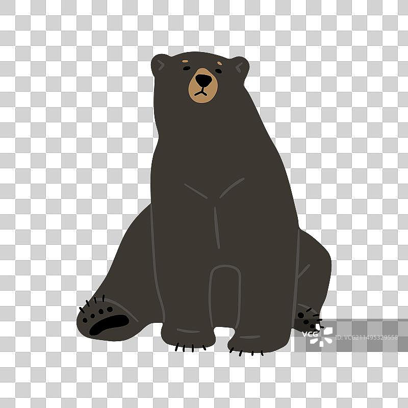 美洲黑熊9图片素材