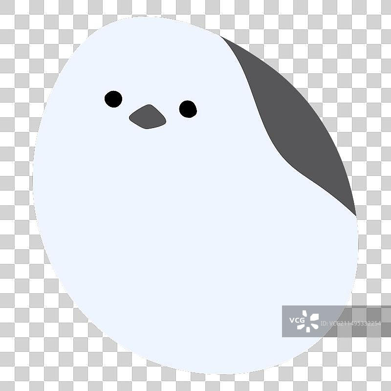 单只长尾山雀19图片素材