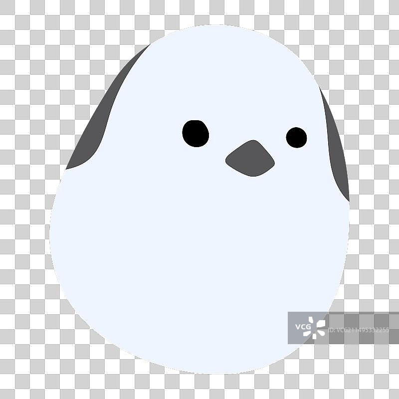 单只长尾山雀图片素材