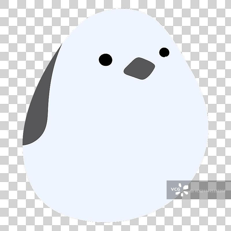 单只长尾山雀 22图片素材