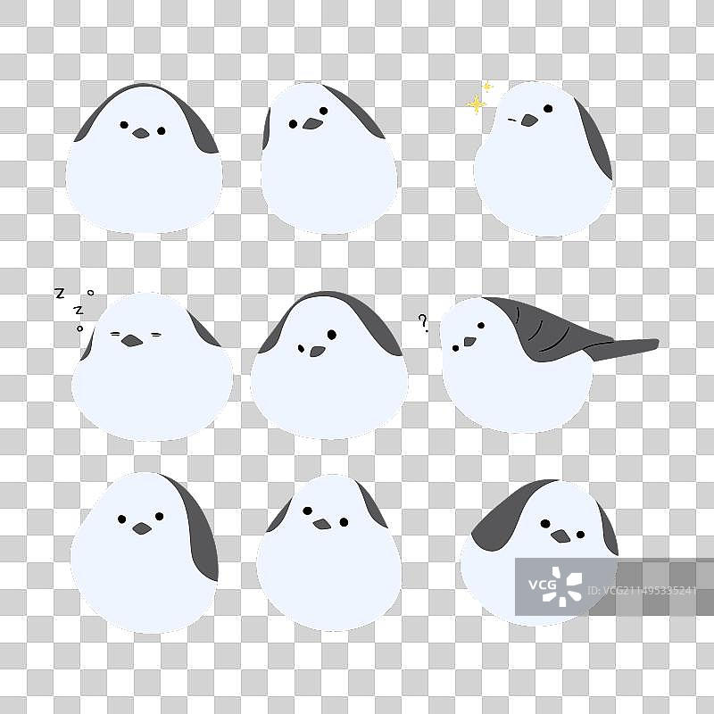 长尾山雀1图片素材