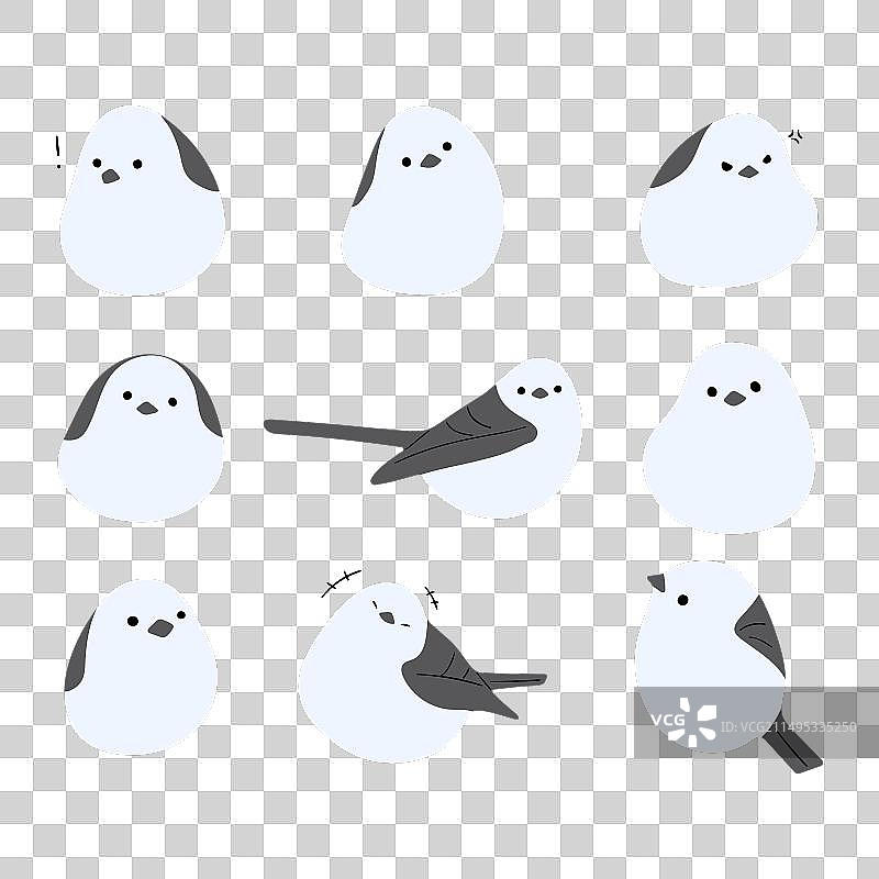 长尾山雀3图片素材