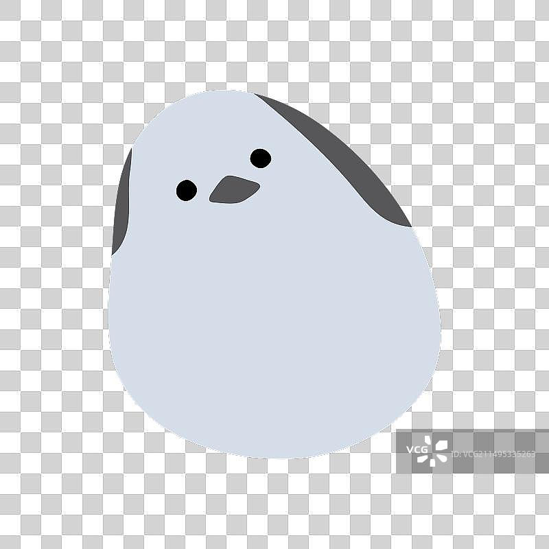 长尾山雀图片素材