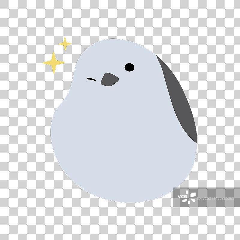 单只长尾山雀3图片素材