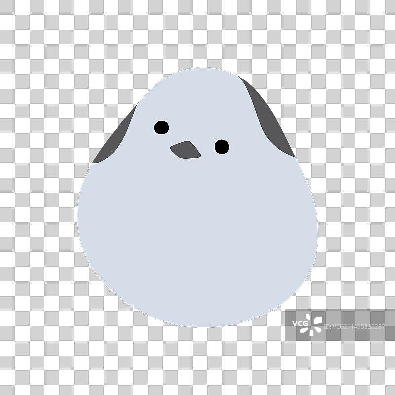 单只长尾山雀8图片素材