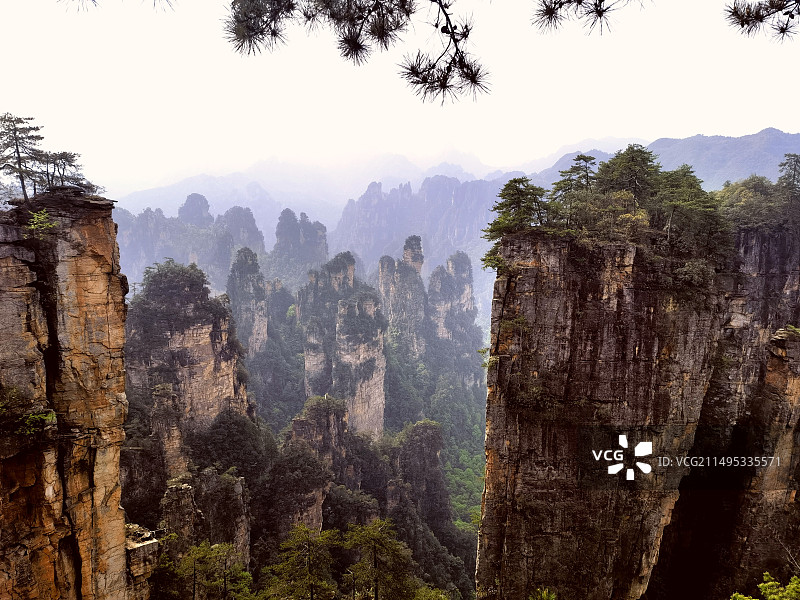 奇峰叠翠天子山图片素材