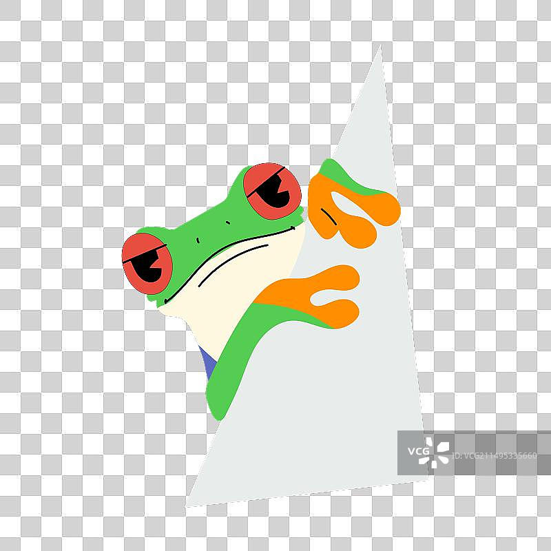 红眼树蛙和纸张图片素材