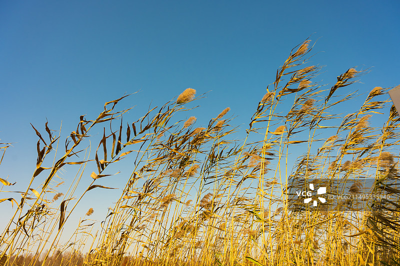 公园风光图片素材