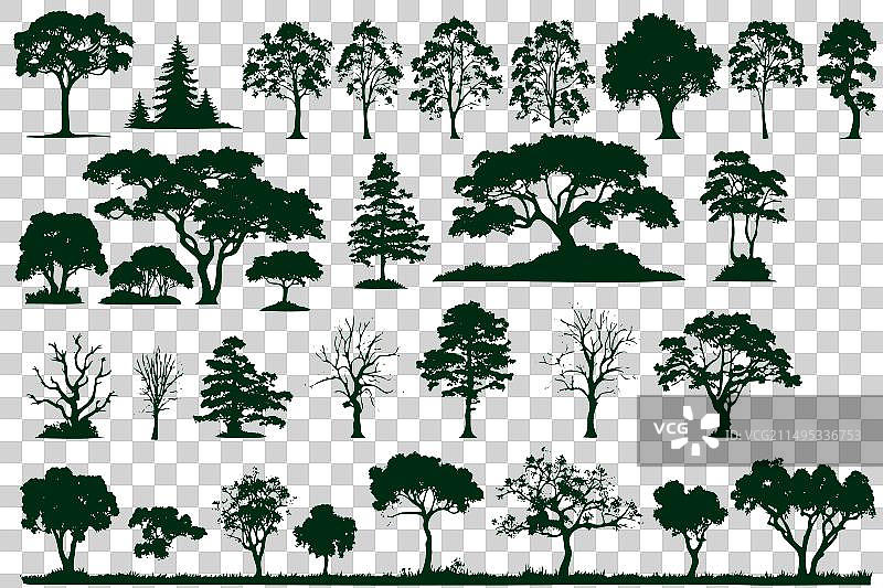 各种尺寸形状的树木合集图片素材