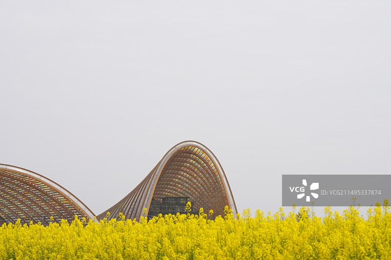 成都新津现代农博会图片素材