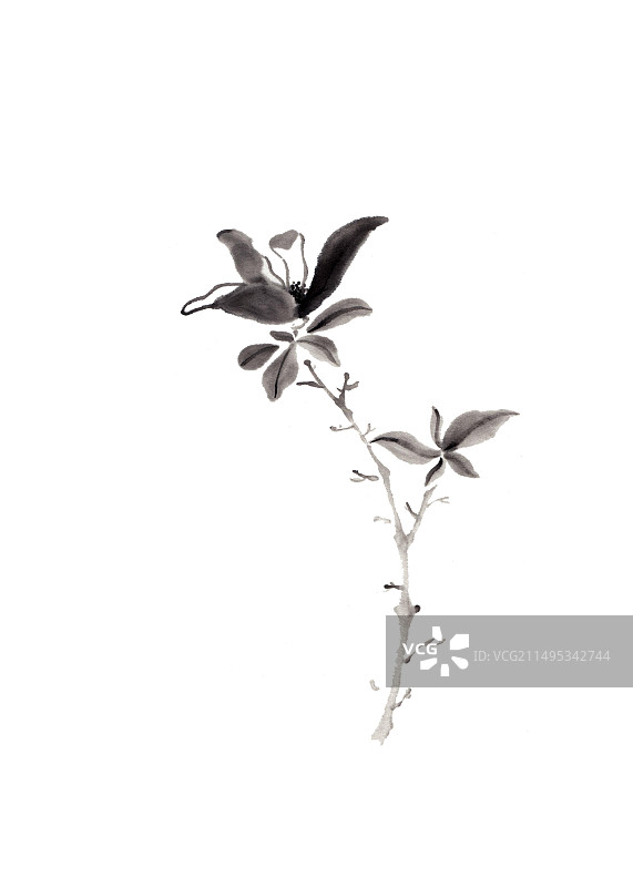 手绘水墨写意花朵插画图片素材