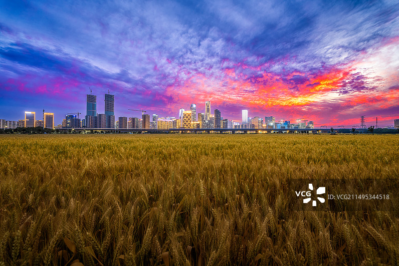 晚霞洒满天空，高铁载着梦想穿过城市和麦浪，驶向诗和远方。图片素材