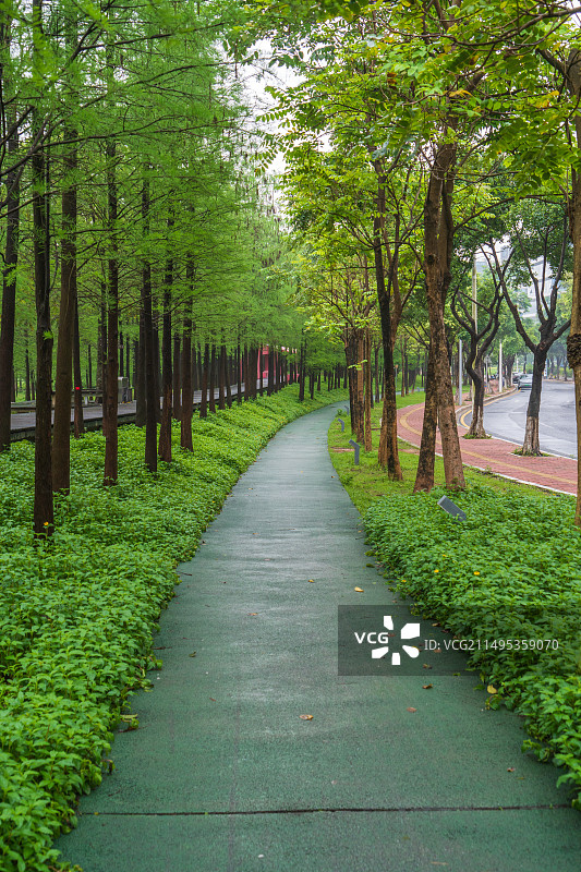广州生态绿道图片素材