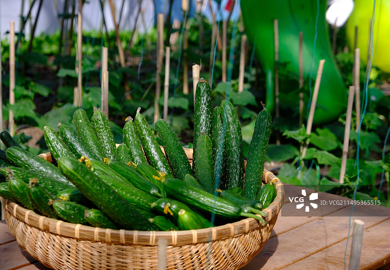 装在篮子里新鲜的黄光图片素材