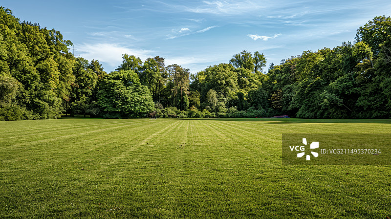 户外蓝天草地绿树背景素材图片素材