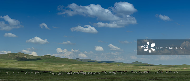 8.内蒙古锡林郭勒盟乌拉盖草原之八图片素材