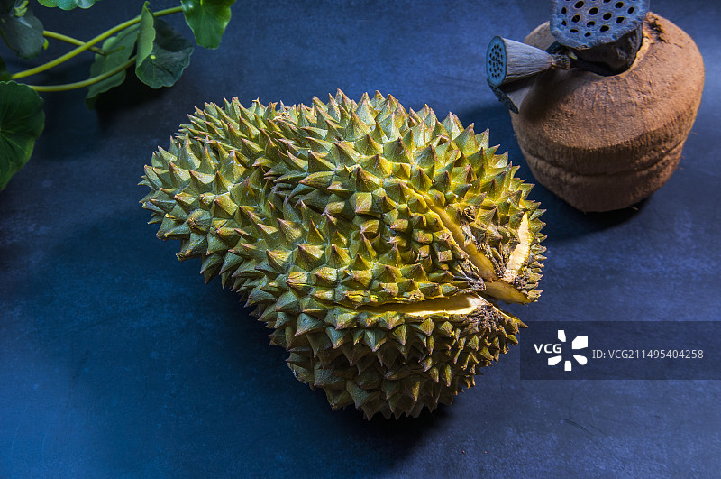 新鲜榴莲果图片素材