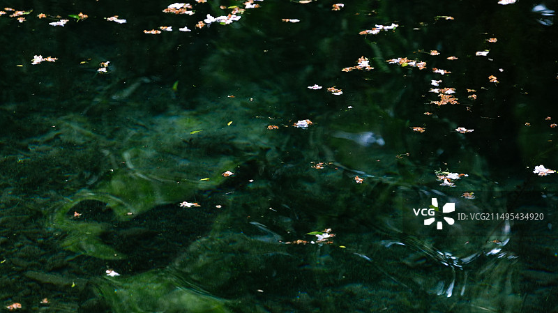 落花流水图片素材