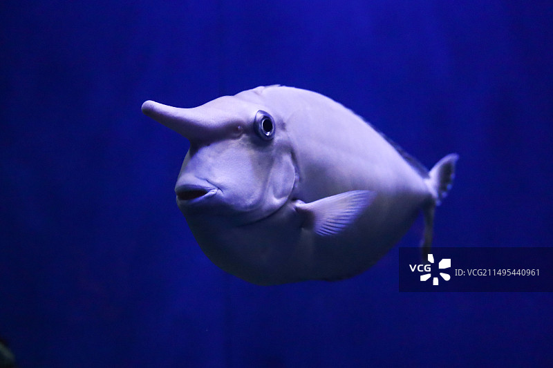 北海海底世界图片素材