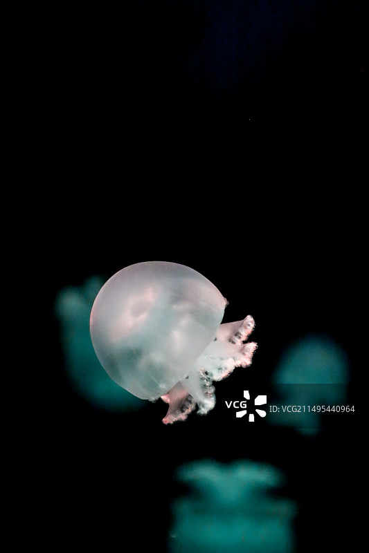 北海海底世界图片素材