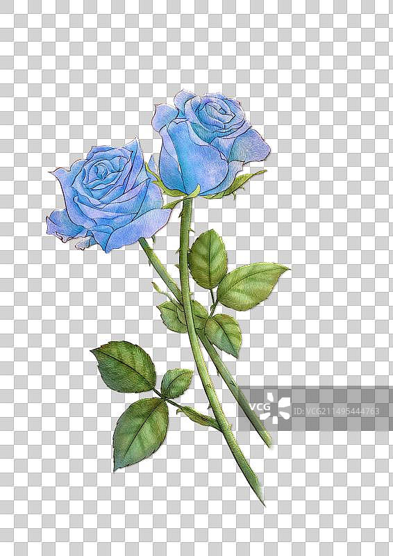 唯美蓝玫瑰苏绣效果免抠元素图片素材