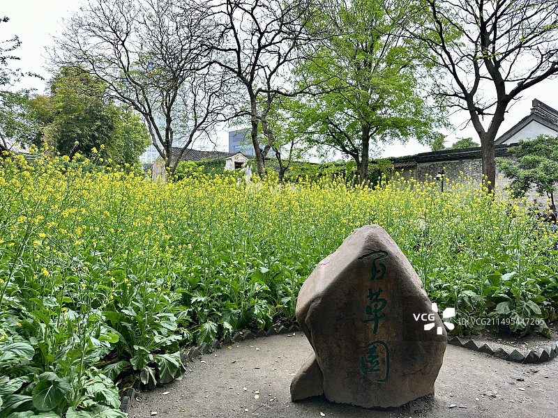 绍兴鲁迅故里百草园，从百草园到三味书屋图片素材