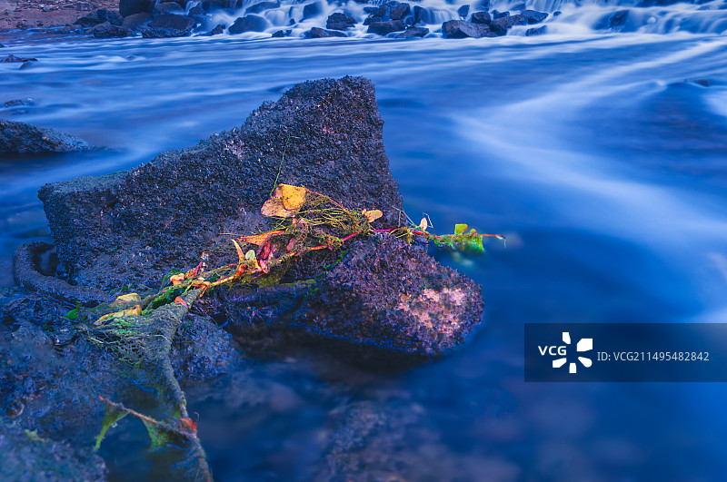 【寻梦沧海】图片素材