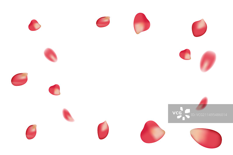 白色背景上的逼真红色玫瑰花瓣图片素材