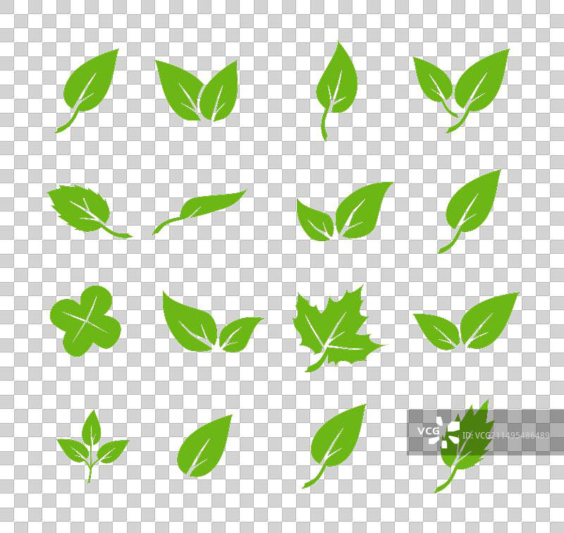 用于天然的绿叶图标元素设计图片素材