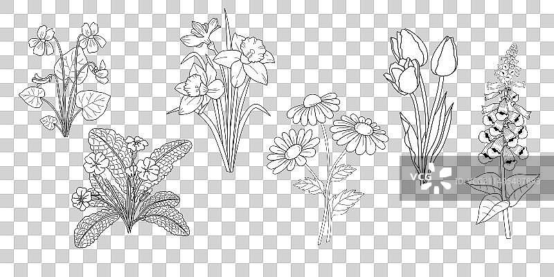 黑色复古风格手绘花朵素材图片素材