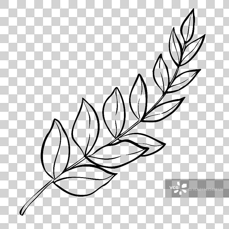 手绘树叶植物图片素材